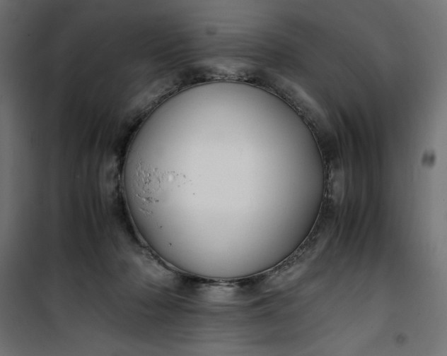 X0000100850318200807070939