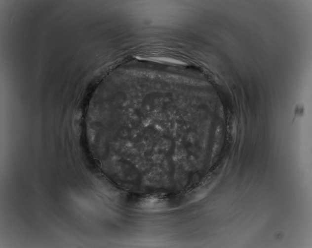 X0000100850319200807070939