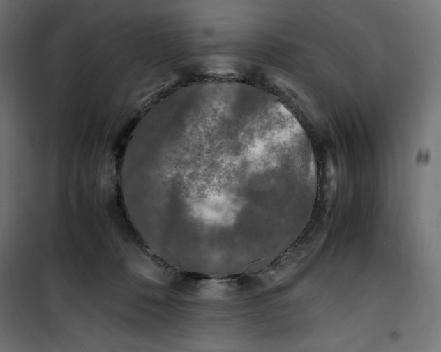 X0000100850320200807070939