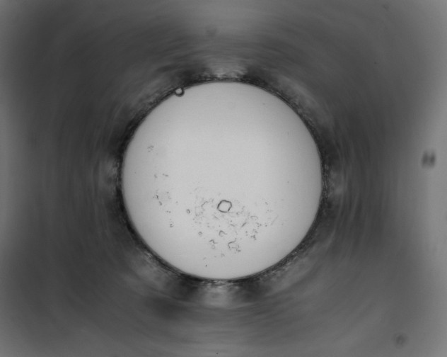 X0000100850321200807070939