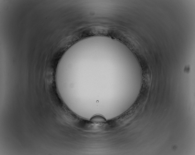 X0000100850323200807070939