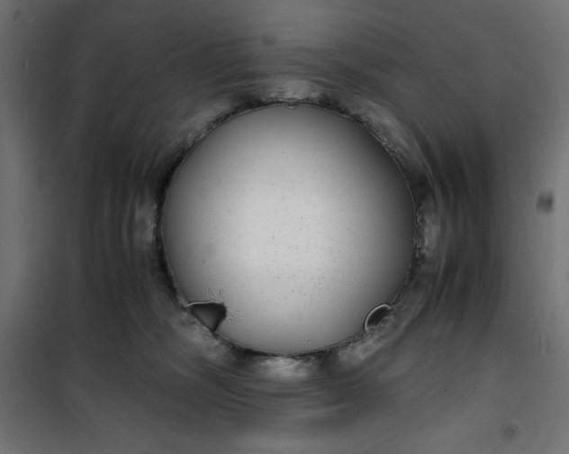 X0000100850326200807070939