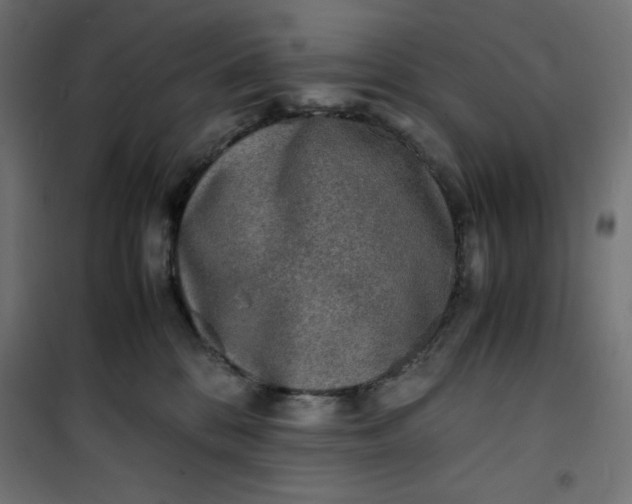 X0000100850328200807070939