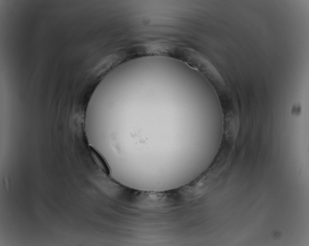 X0000100850329200807070939