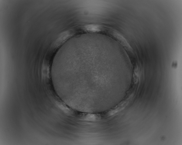 X0000100850330200807070939