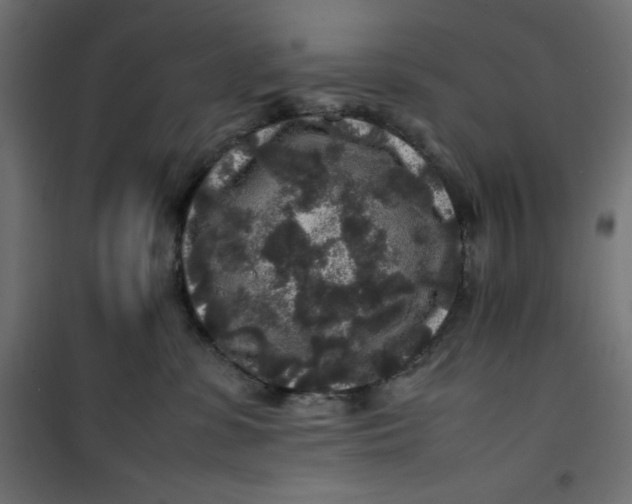 X0000100850331200807070939