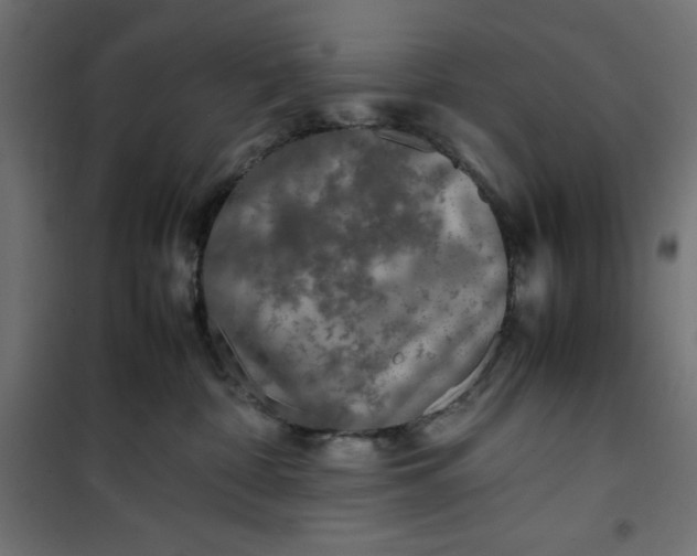 X0000100850332200807070939