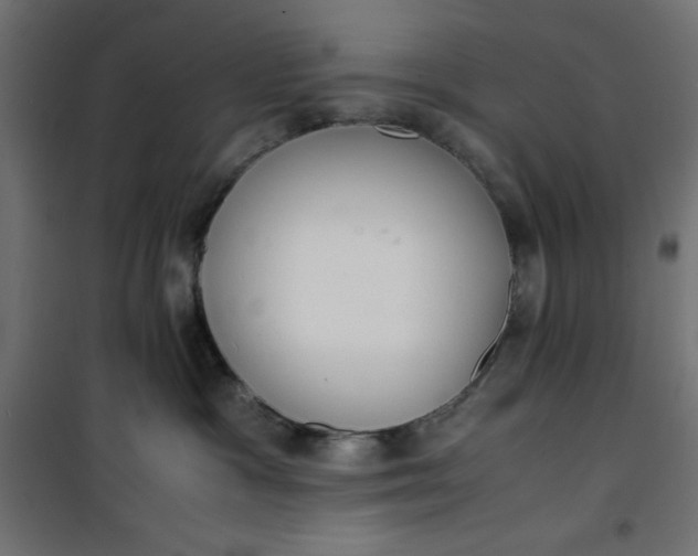 X0000100850333200807070939