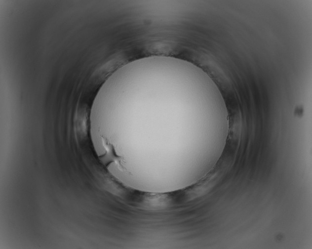 X0000100850334200807070939