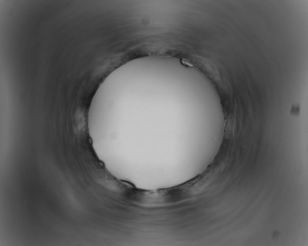 X0000100850335200807070939