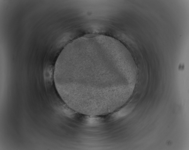 X0000100850336200807070939