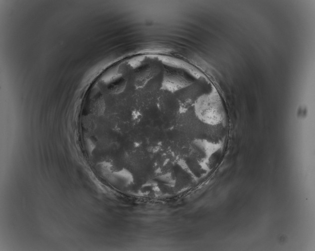 X0000100850337200807070938