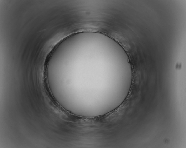 X0000100850338200807070938