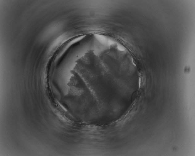 X0000100850339200807070938