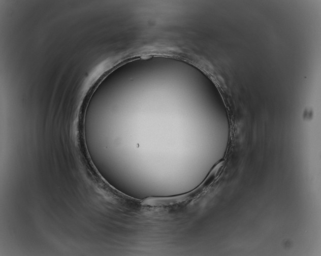 X0000100850340200807070938