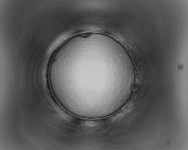 X0000100850341200807070938