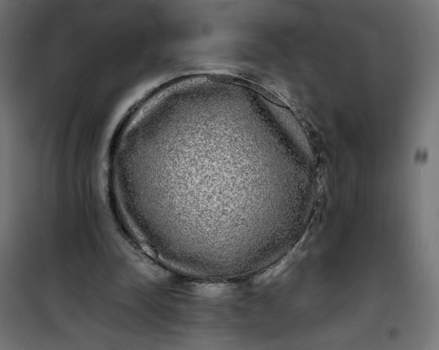 X0000100850342200807070938