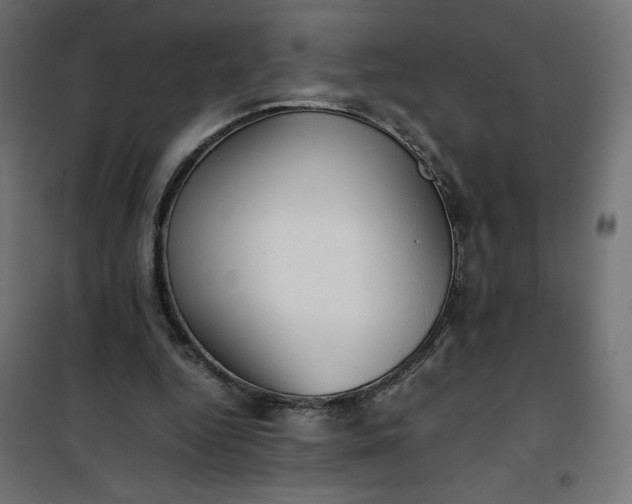 X0000100850344200807070938