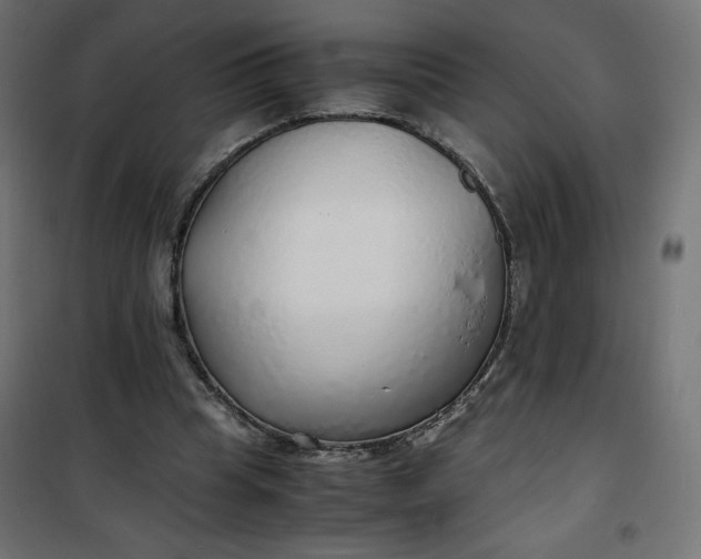 X0000100850345200807070938