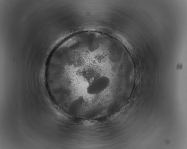 X0000100850346200807070939