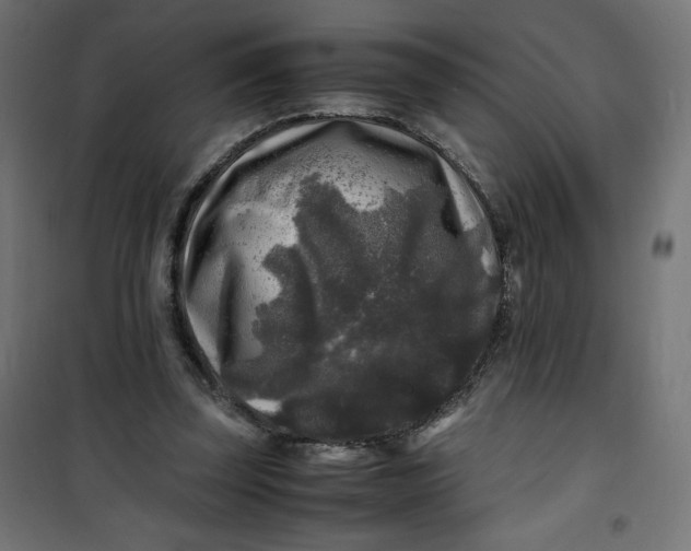 X0000100850347200807070939