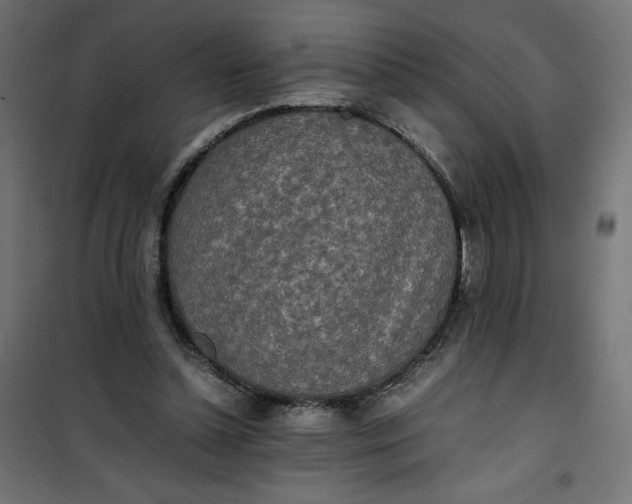 X0000100850348200807070939