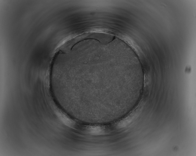 X0000100850349200807070939