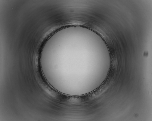 X0000100850350200807070939