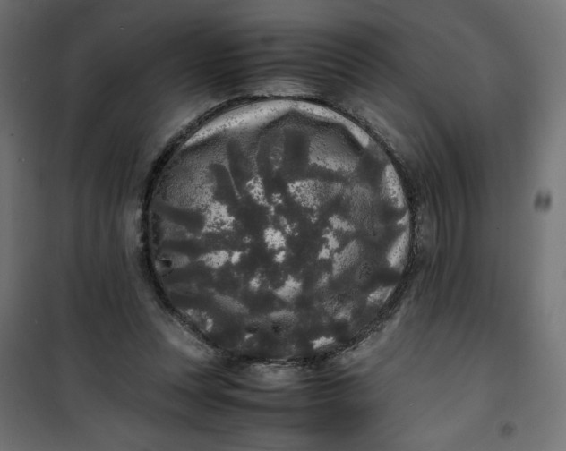 X0000100850351200807070939