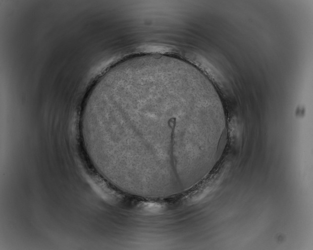 X0000100850352200807070939