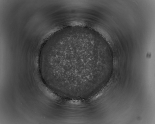 X0000100850353200807070939