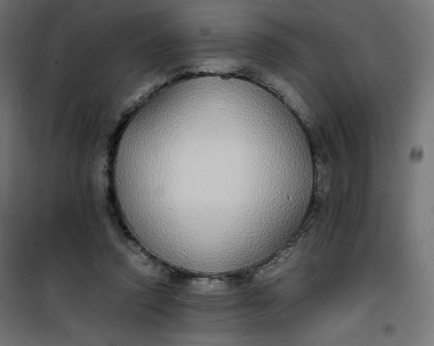 X0000100850354200807070939