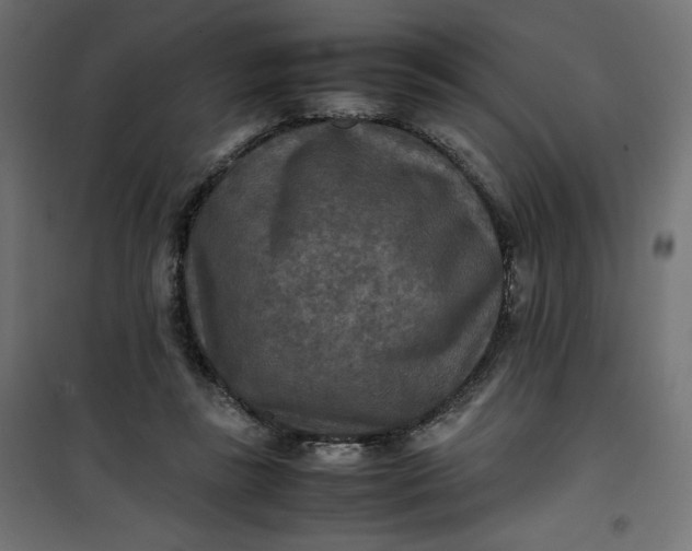 X0000100850355200807070939