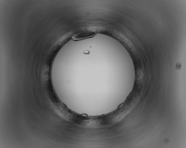 X0000100850356200807070939