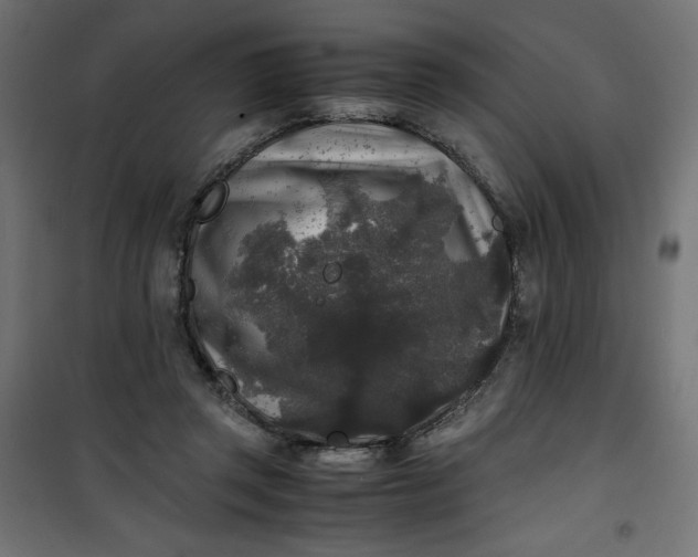 X0000100850357200807070939