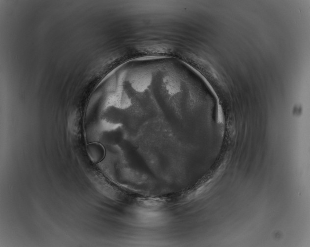 X0000100850359200807070939