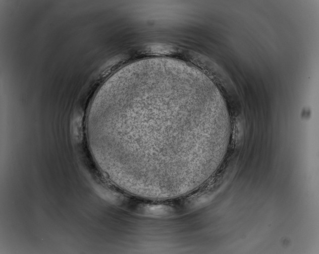 X0000100850360200807070939