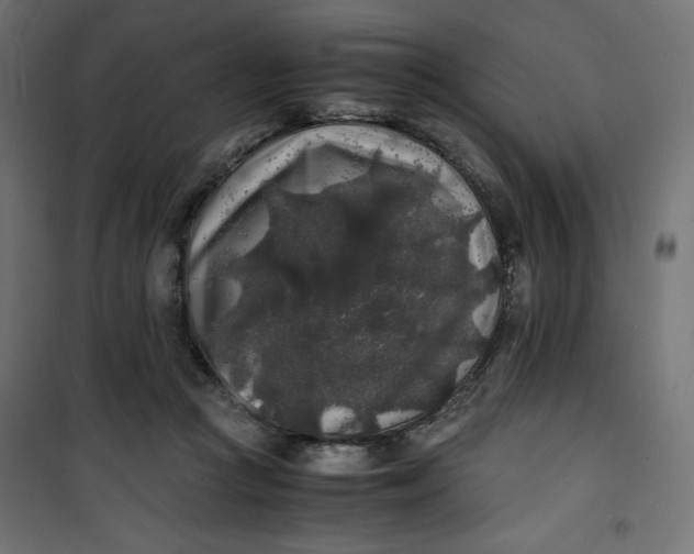 X0000100850361200807070939