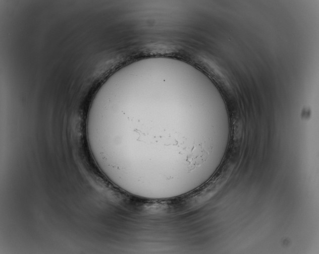 X0000100850362200807070939