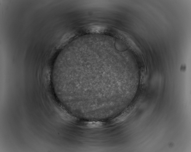 X0000100850363200807070939