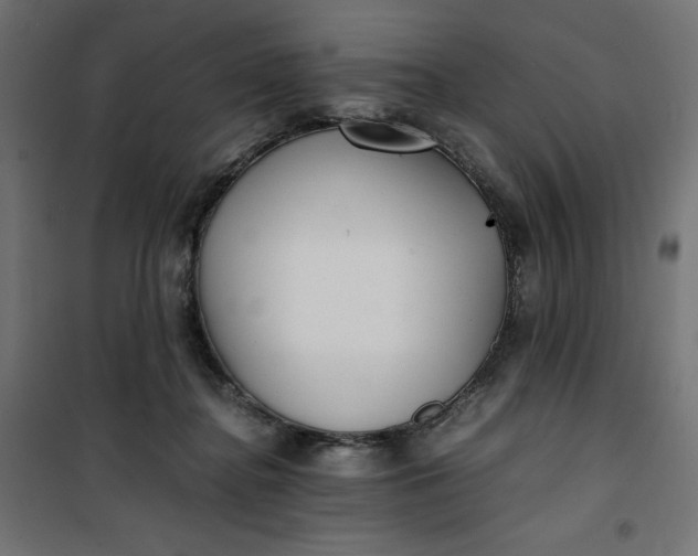 X0000100850364200807070939