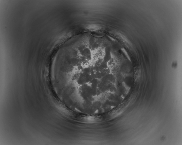 X0000100850365200807070939