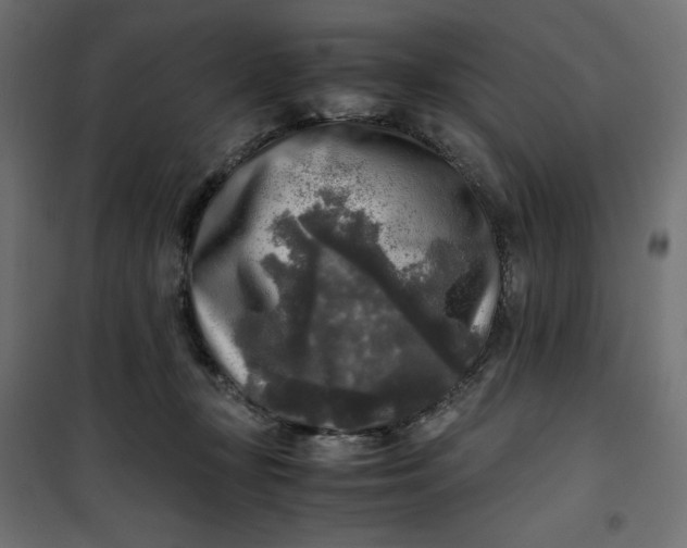 X0000100850367200807070939