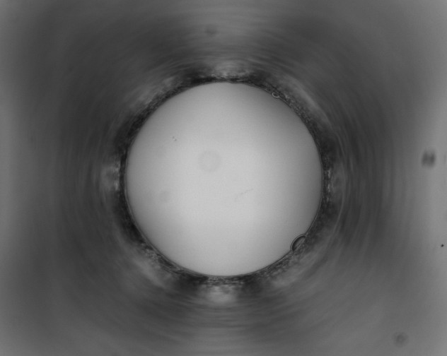 X0000100850368200807070939