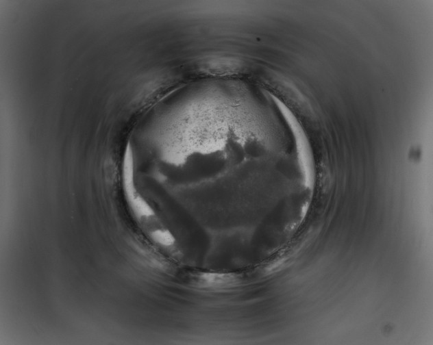 X0000100850371200807070939