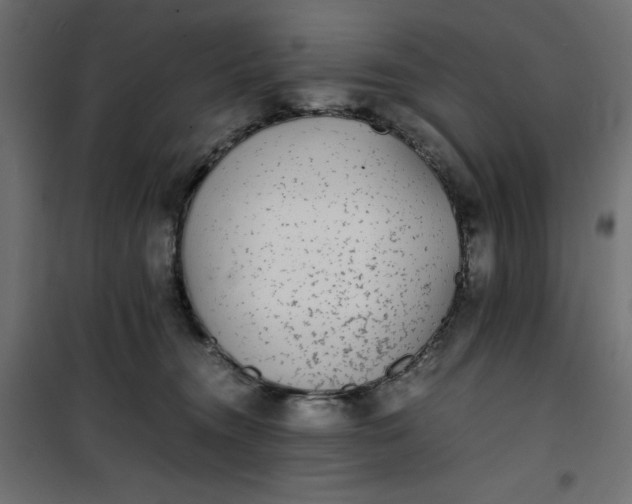 X0000100850372200807070939