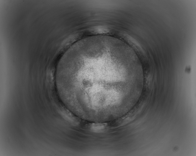 X0000100850373200807070939