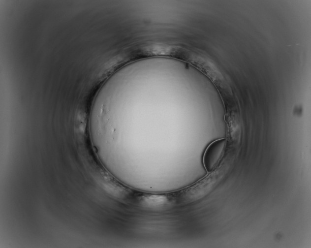 X0000100850374200807070939