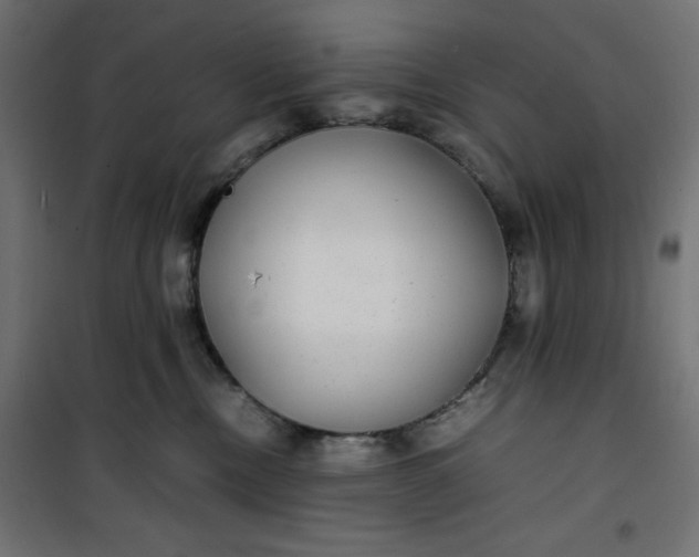 X0000100850378200807070939