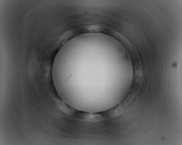 X0000100850379200807070939